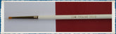 BR10 - Proline Brush